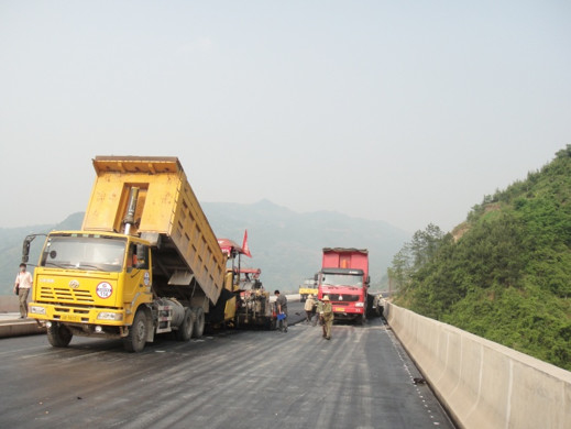 アスファルト混合物の舗装および道路管理のためのUpplerの中間の層の反Rutting添加物